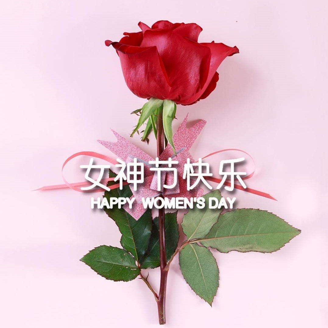 女神節(jié)特輯丨以醫(yī)療力量，筑女性健康
